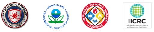 cleaning Auckland meth-p-cleaners-Auckland-service